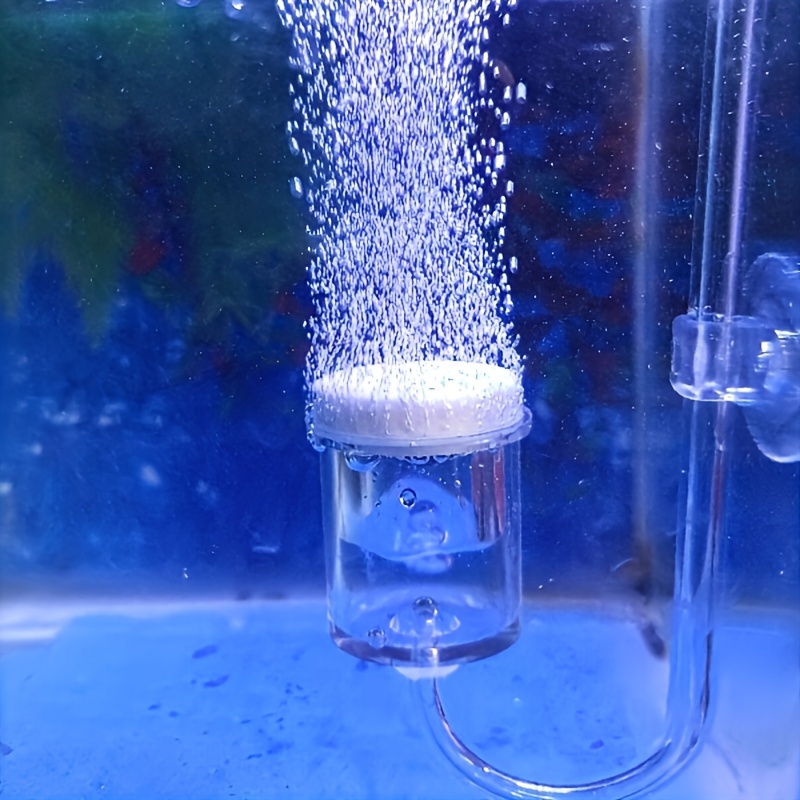Aquarium Fish To Buy - 水族館用のCO2噴霧器とディフューザー,バブルカウンター,吸盤で確認,植えられた水槽の付属品