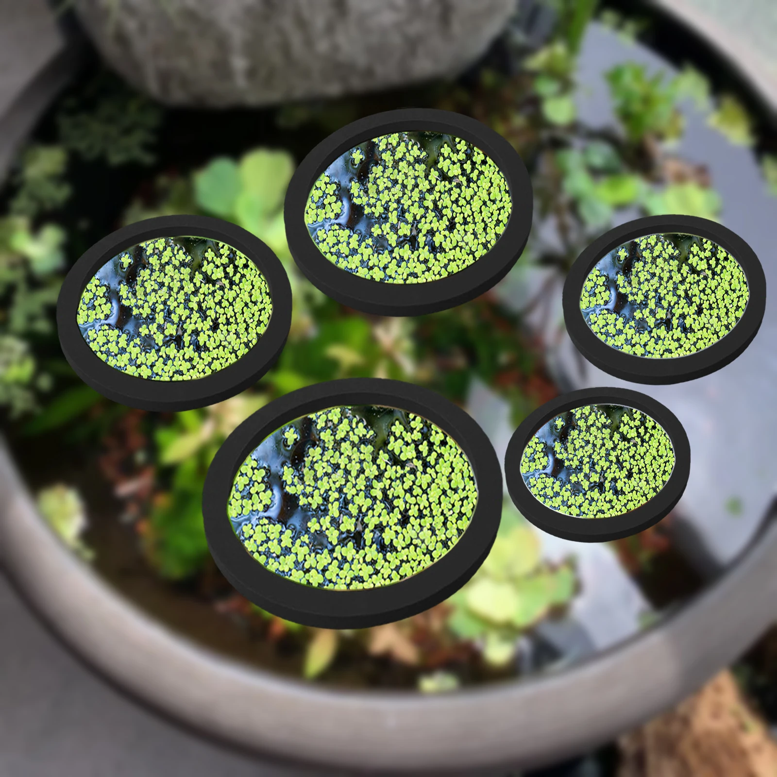 Aquarium Fish In Pond - 5 個 EVA 魚給餌リング水族館浮遊植物囲い水槽フロート植物バリア水族館の池 Accessorie 植物リング