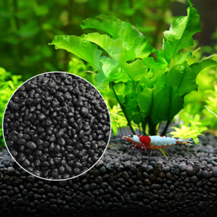 Aquarium Fish To Buy - 水族館植物の種子,水槽の素材,砂,土壌肥料,魚の手入れ,淡水水族館の付属品