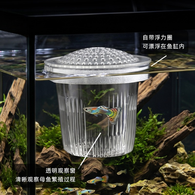 稚魚・小型グッピー繁殖カップ 餌やり用品 通気性のある水槽用 - Aquarium Fish Delivery のレビューと価格