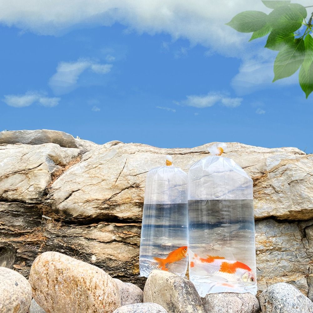 10 個のプラスチック水族館呼吸バッグ高品質透明魚配送インフ - Aquarium Fish Delivery のレビューと価格