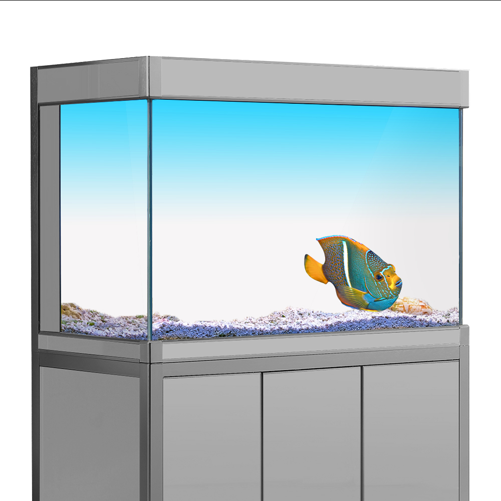 水槽背景ステッカー白黄緑青シアングラデーションシンプルな印刷 - Aquarium Fish Wallpaper のレビューと価格
