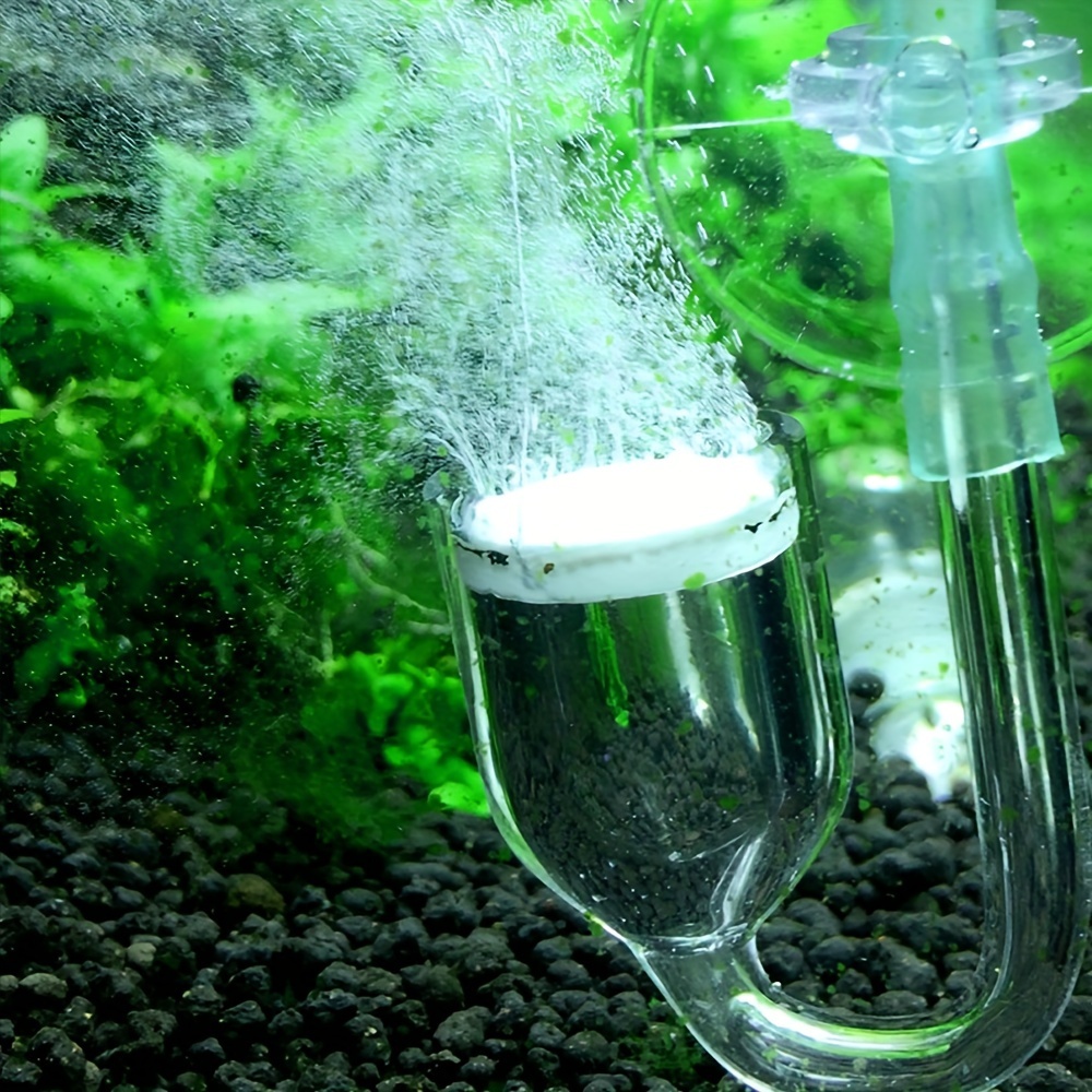 水族館用のCO2噴霧器とディフューザー,バブルカウンター,吸 - Aquarium Fish To Buy のレビューと価格