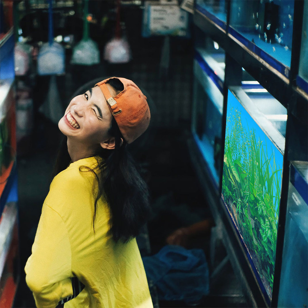 水槽用背景紙 厚手 色褪せなし 安全な水中ポスター 壁紙 水 - Aquarium Fish Wallpaper のレビューと価格