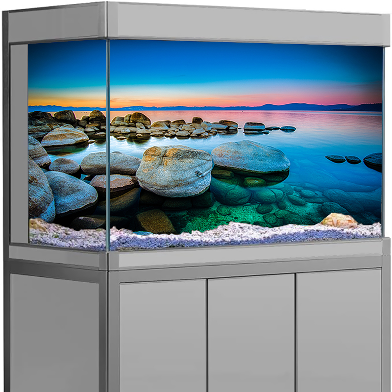 水槽背景ステッカー 石 海景ポスター 魚タンク装飾 自己粘着 - Aquarium Fish Wallpaper のレビューと価格