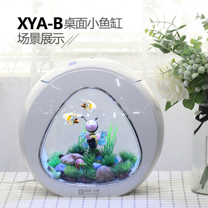 佳露クリエイティブデスクトップ水槽、小型観賞魚水槽、生態系水 - Aquarium Fish Delivery のレビューと価格