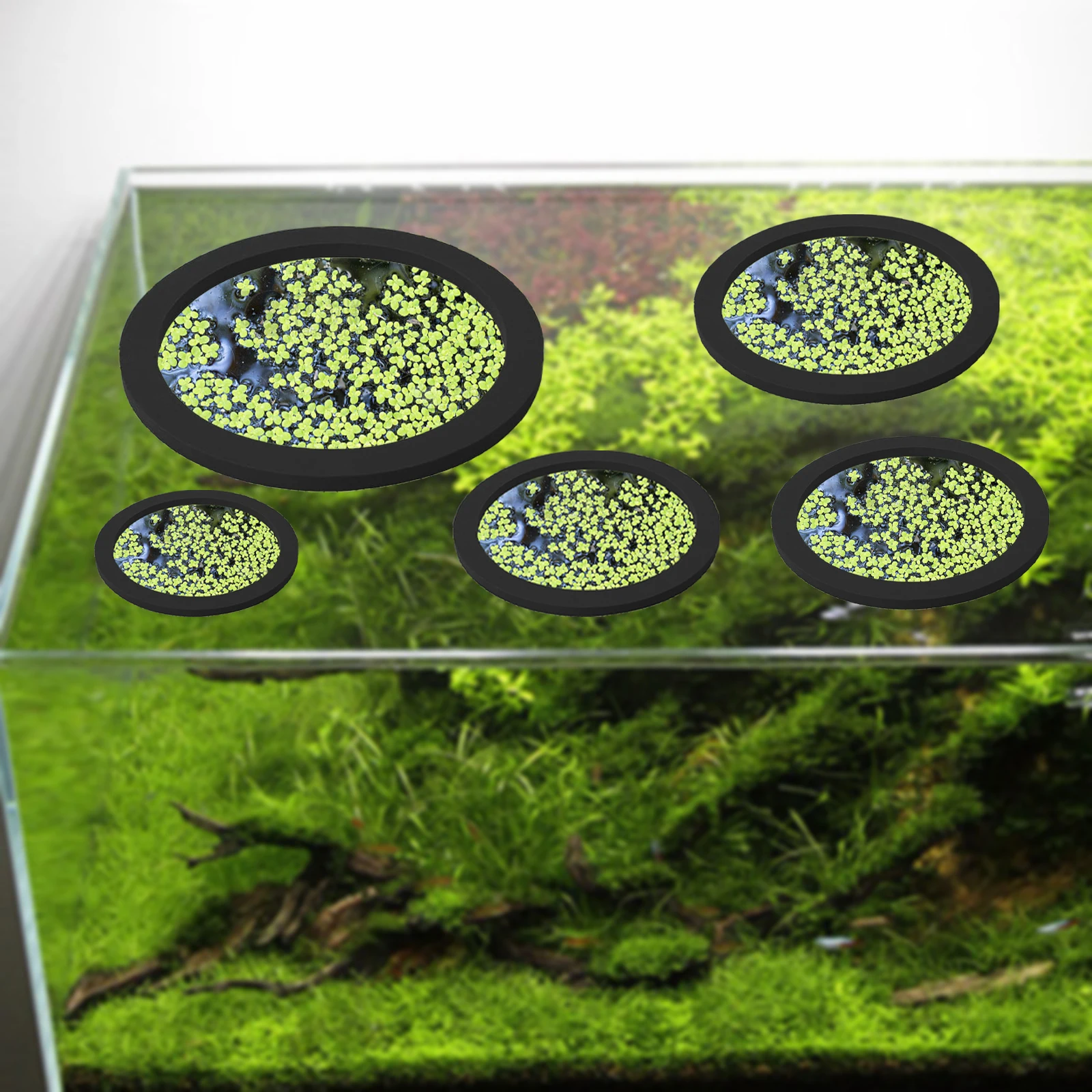 5 個 EVA 魚給餌リング水族館浮遊植物囲い水槽フロート植 - Aquarium Fish In Pond のレビューと価格
