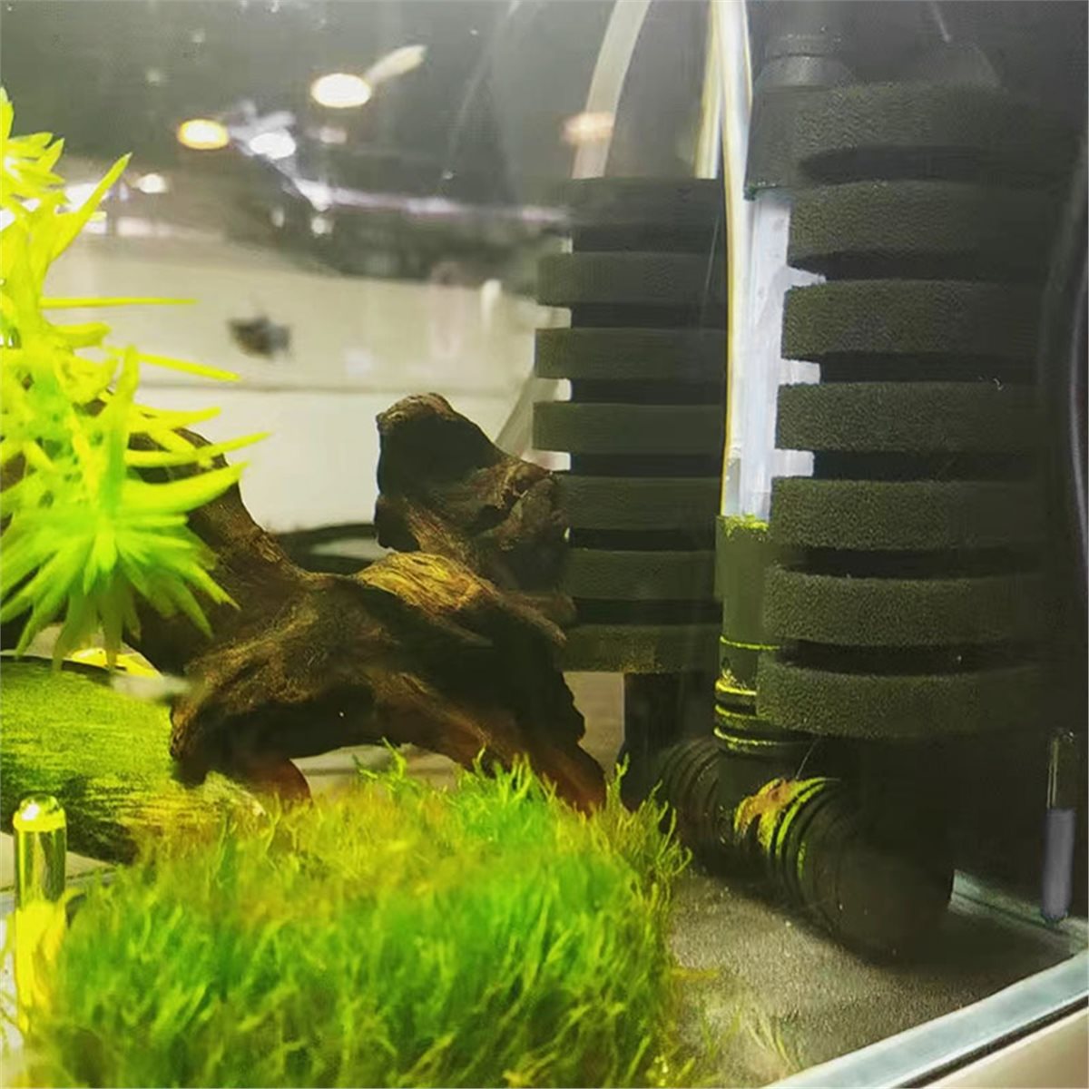 【必須アイテムリスト】水槽用フィルター、水槽用エアポンプスキ - Aquarium Fish List のレビューと価格