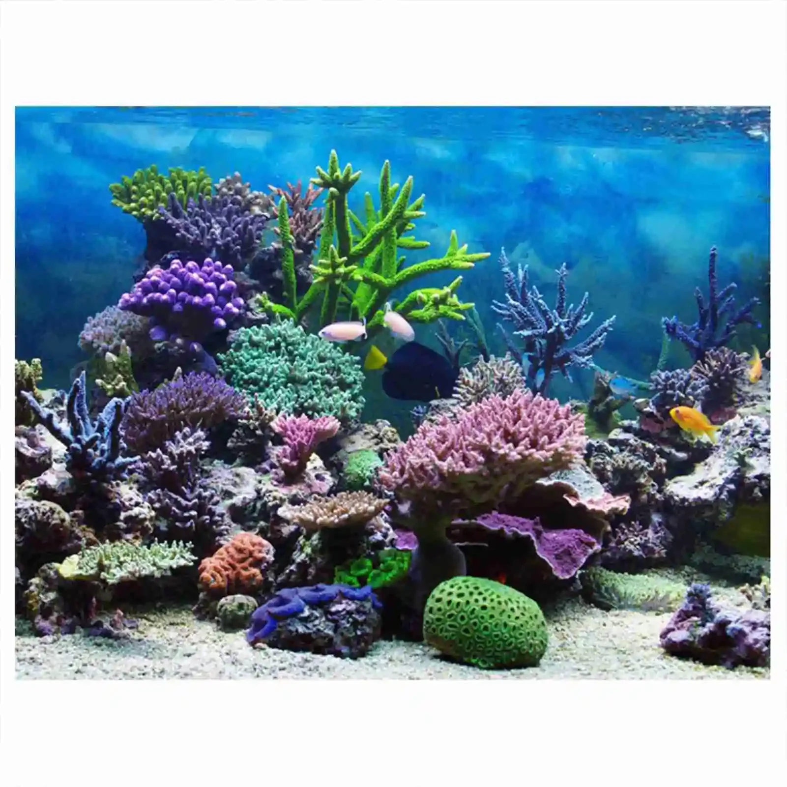 熱帯雨林の壁紙,水族館の背景,PVC装飾,3D風景HDポスタ - Aquarium Fish Wallpaper のレビューと価格