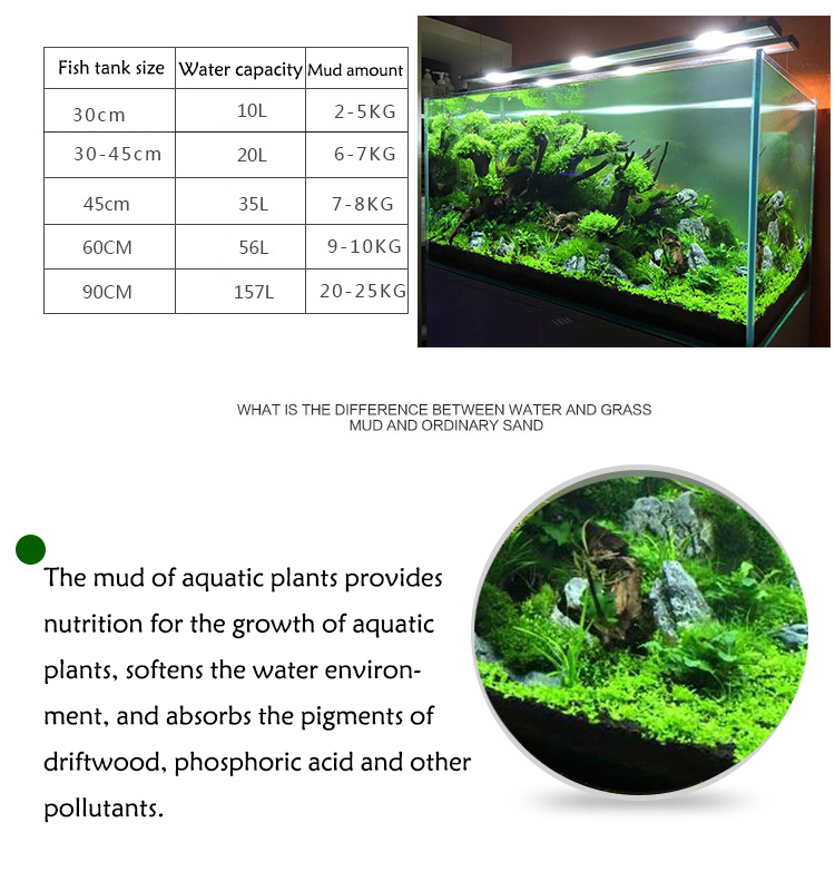 水族館植物の種子,水槽の素材,砂,土壌肥料,魚の手入れ,淡水 - Aquarium Fish To Buy のレビューと価格