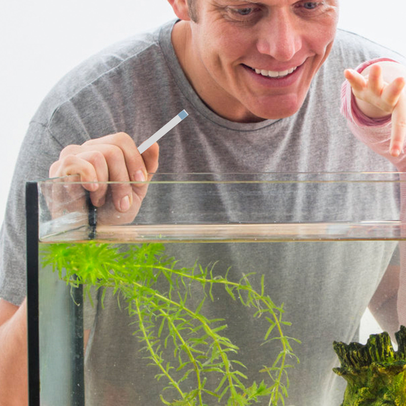 スイミングプール用テストストリップ、ホットタブ・スパ用pHテ - Aquarium Fish In Pond のレビューと価格